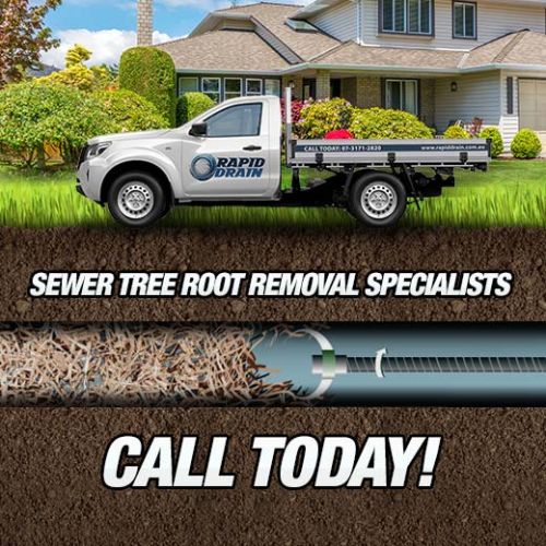 Sewer Tree Root Removal Specialists In Kedron